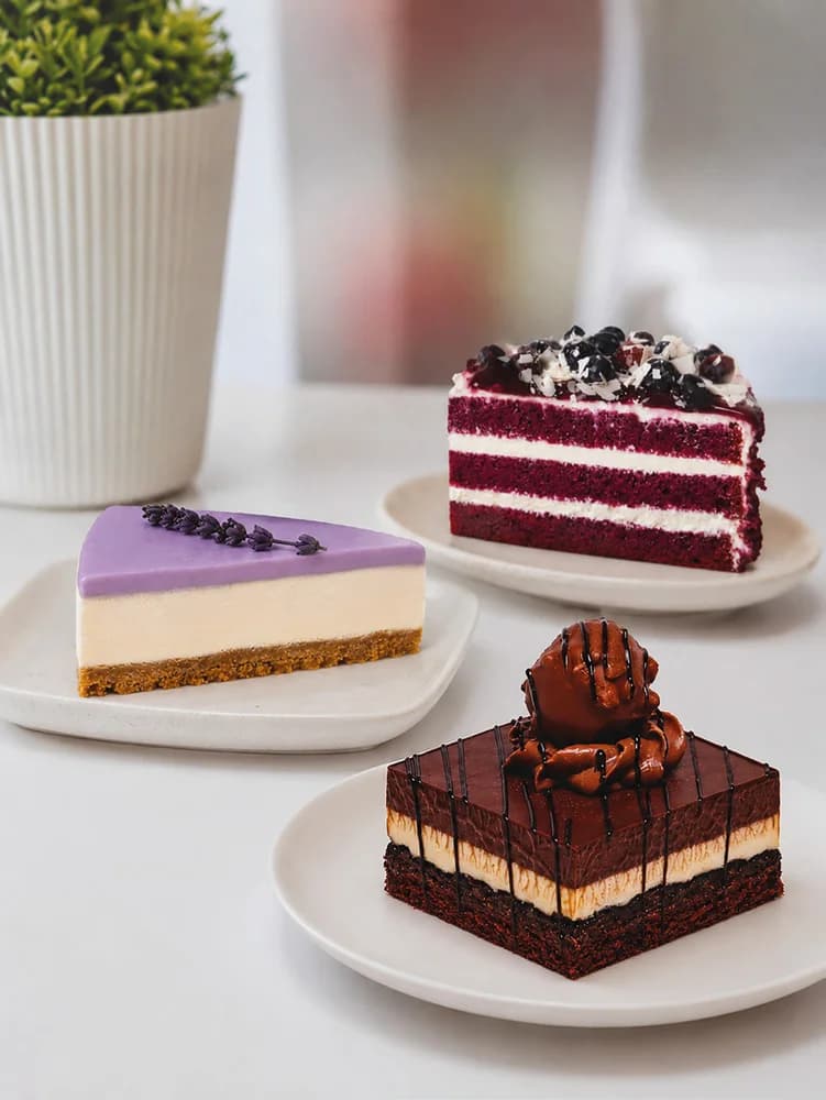 HoReCa Cakes – Produktansicht